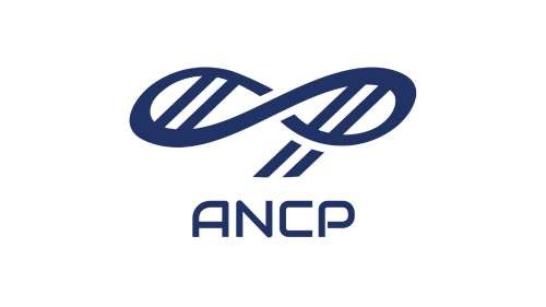 logo ancp site