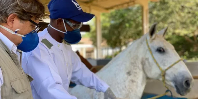 Levar conhecimento público, gratuito e de qualidade para os produtores rurais é uma tarefa que está atrasada, segundo entidades do setor  (Foto: Instituto Vital Brazil/Divulgação)