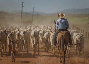 Foto Rally da Pecuária, por Alécio Cezar