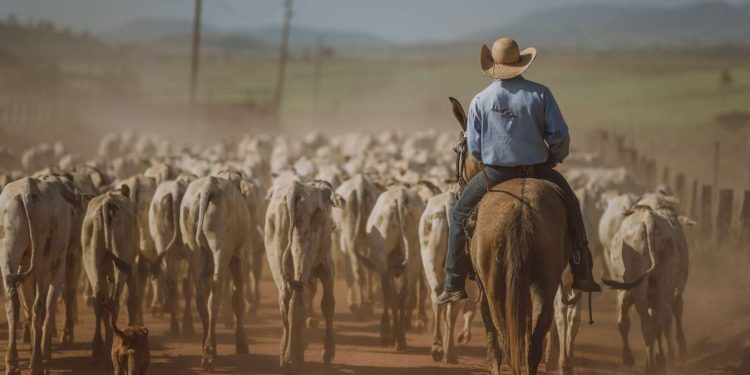 Foto: Rally da Pecuária, por Alécio Cezar