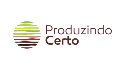 logo produzindo certo site