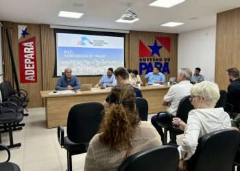 Programa Pecuária Sustentável do Pará apresenta novos membros do Conselho Consultivo