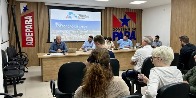 Programa Pecuária Sustentável do Pará apresenta novos membros do Conselho Consultivo