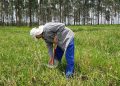 O estudo utilizou medições de campo realizadas ao longo de dois anos. Foto: Sandra Furlan