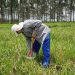 O estudo utilizou medições de campo realizadas ao longo de dois anos. Foto: Sandra Furlan