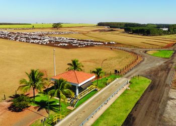 A amarração da eficiência produtiva com as práticas sustentáveis tem aberto novos caminhos no mercado internacional