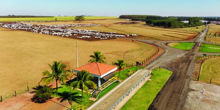 A amarração da eficiência produtiva com as práticas sustentáveis tem aberto novos caminhos no mercado internacional