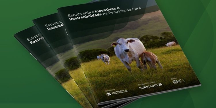 O estudo reúne diagnósticos e propostas para transformar a rastreabilidade em uma infraestrutura estratégica de inclusão produtiva. Foto: MBPS